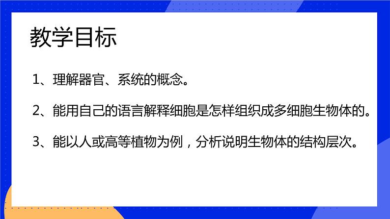 4.2 生物体的器官、系统 课件 北师大版七年级生物上册04