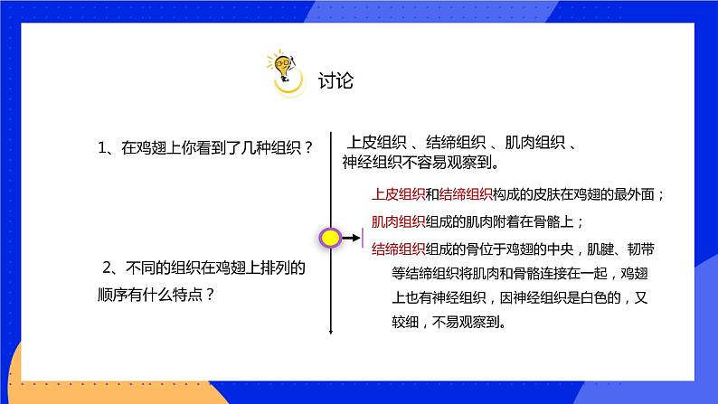 4.2 生物体的器官、系统 课件 北师大版七年级生物上册08