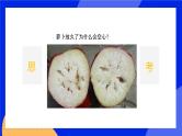 5.2 呼吸作用 课件 北师大版七年级生物上册