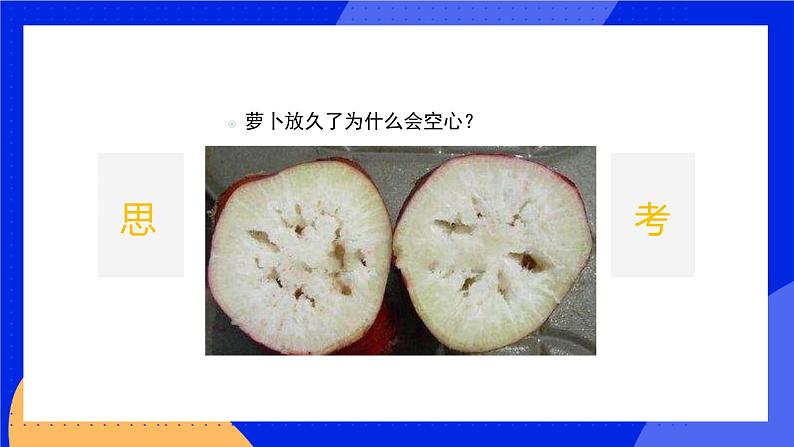 5.2 呼吸作用 课件 北师大版七年级生物上册第4页