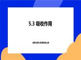 5.3 吸收作用 课件 北师大版七年级生物上册