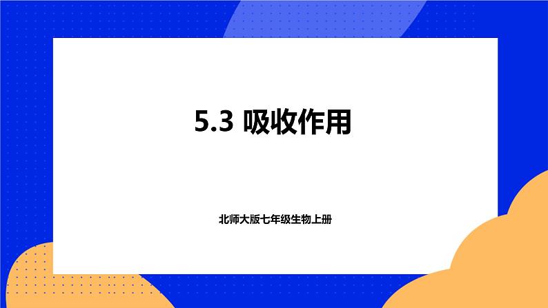 5.3 吸收作用 课件 北师大版七年级生物上册01