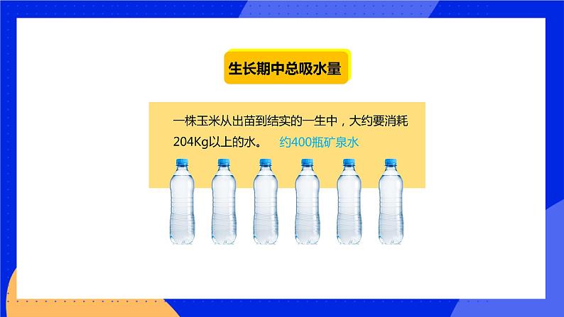 5.4 蒸腾作用 课件 北师大版七年级生物上册04