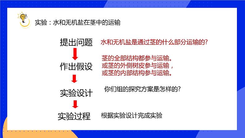 5.5 运输作用 课件 北师大版七年级生物上册05