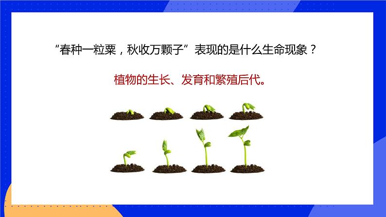 6.1 种子萌发形成幼苗 课件 北师大版七年级生物上册02