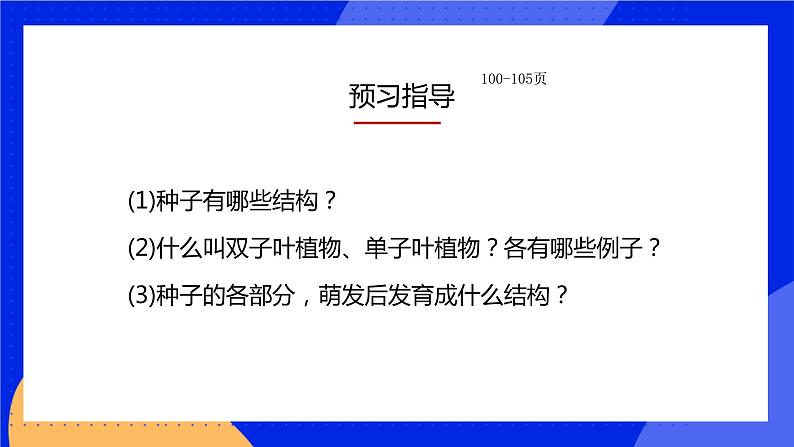 6.1 种子萌发形成幼苗 课件 北师大版七年级生物上册05