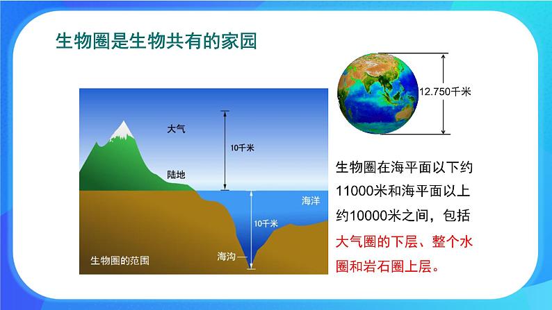 1.1 形形色色的生物 课件+练习+素材 北师大版七年级生物上册05