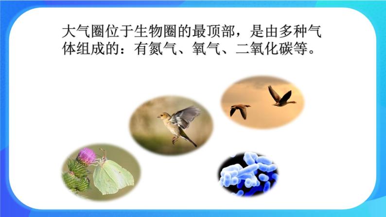 1.1 形形色色的生物 课件+练习+素材 北师大版七年级生物上册06