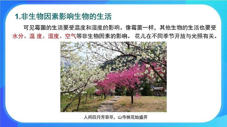 1.2 生物与环境的相互影响 课件 北师大版七年级生物上册第8页