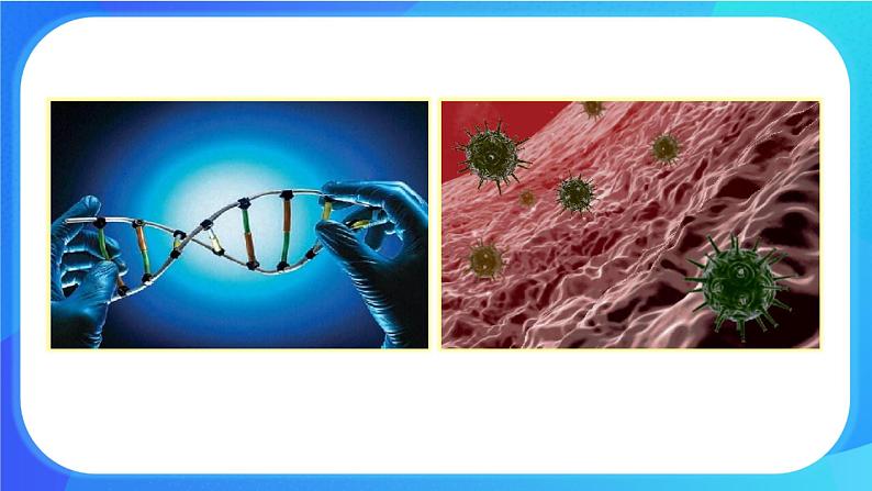 2.1 生物学是探索生命的科学 课件+练习+素材 北师大版七年级生物上册02