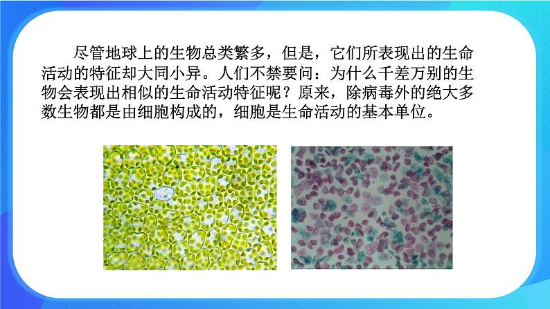 3.1.1 细胞的基本结构和功能 课件+练习+素材 北师大版七年级生物上册02