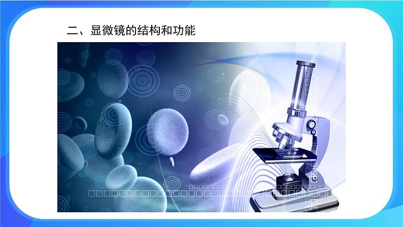 3.1.1 细胞的基本结构和功能 课件+练习+素材 北师大版七年级生物上册06