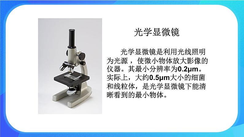 3.1.1 细胞的基本结构和功能 课件+练习+素材 北师大版七年级生物上册08