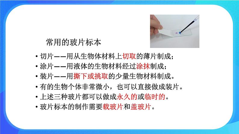 3.1.2 细胞的基本结构和功能 课件+练习+素材 北师大版七年级生物上册03