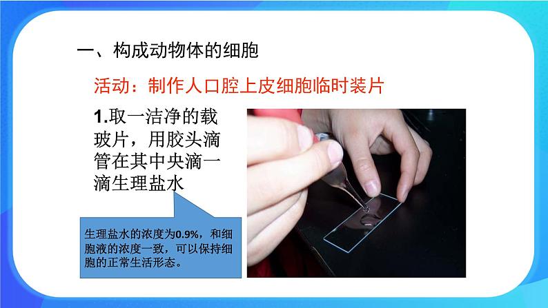 3.1.2 细胞的基本结构和功能 课件+练习+素材 北师大版七年级生物上册04