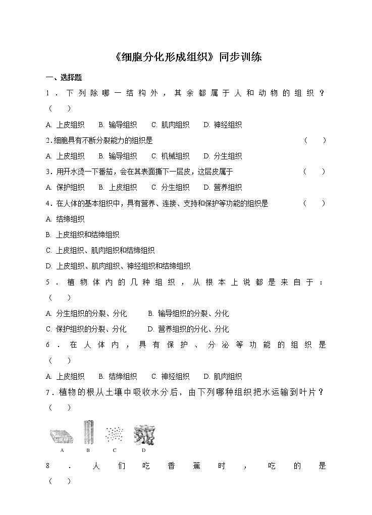 4.1 细胞分化形成组织 课件+练习+素材 北师大版七年级生物上册01