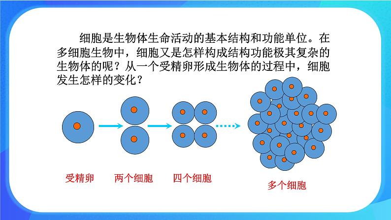 4.1 细胞分化形成组织 课件+练习+素材 北师大版七年级生物上册02