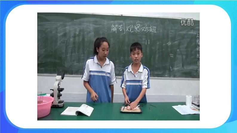 4.2 生物体的器官、系统 课件+练习+素材 北师大版七年级生物上册06
