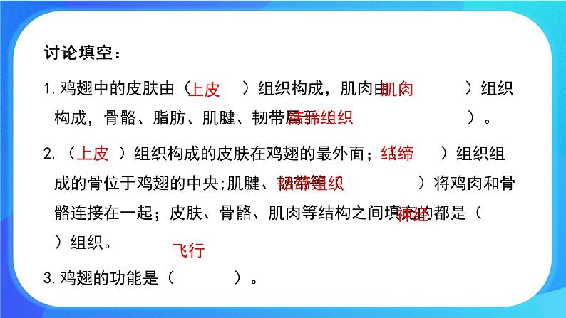 4.2 生物体的器官、系统 课件+练习+素材 北师大版七年级生物上册07