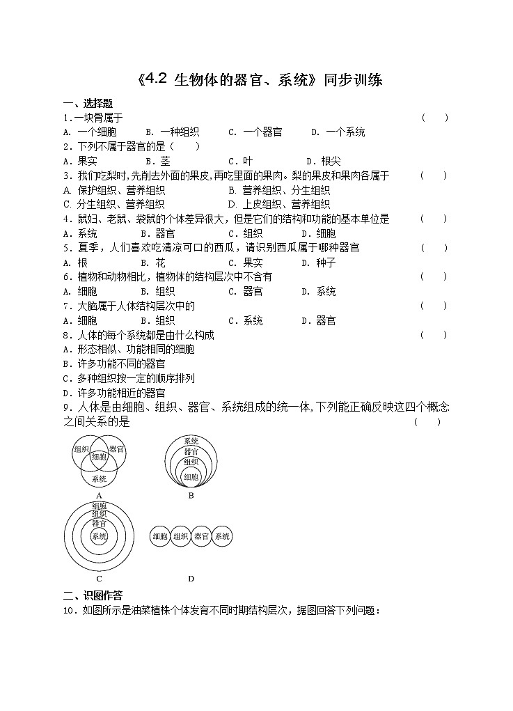 4.2 生物体的器官、系统 课件+练习+素材 北师大版七年级生物上册01