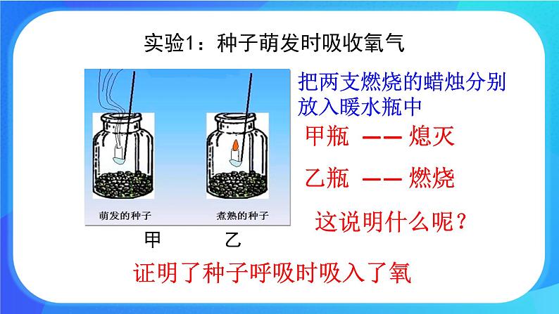 5.2 呼吸作用 课件+练习+素材 北师大版七年级生物上册06