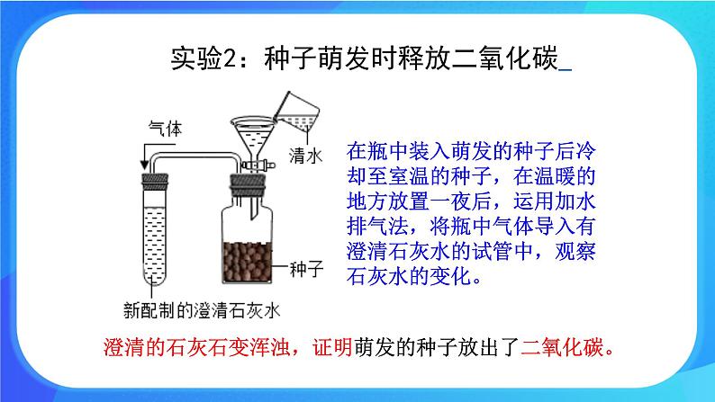 5.2 呼吸作用 课件+练习+素材 北师大版七年级生物上册07