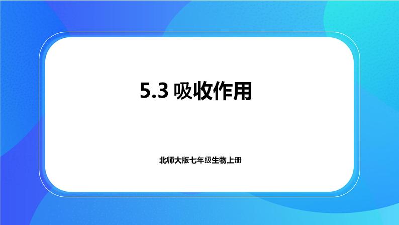 5.3 吸收作用 课件+练习+素材 北师大版七年级生物上册01