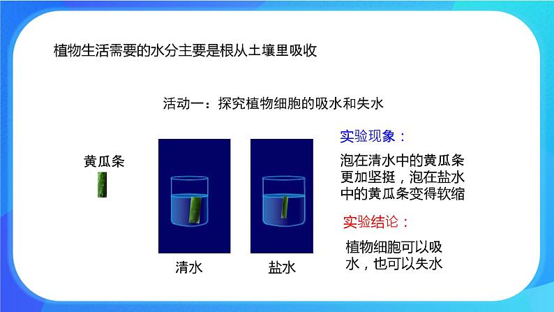 5.3 吸收作用 课件+练习+素材 北师大版七年级生物上册05