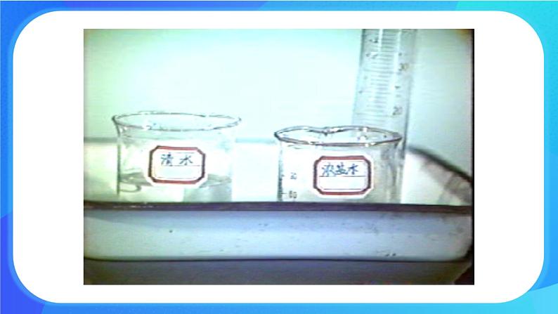 5.3 吸收作用 课件+练习+素材 北师大版七年级生物上册06