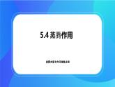 5.4 蒸腾作用 课件+练习+素材 北师大版七年级生物上册