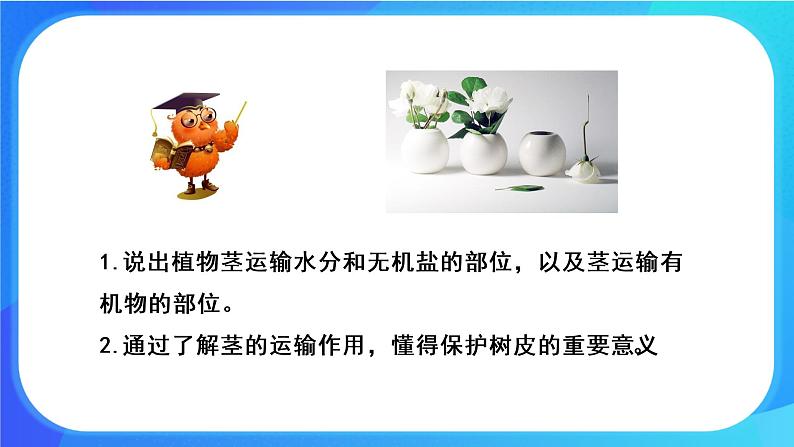 5.5 运输作用 课件 北师大版七年级生物上册第2页