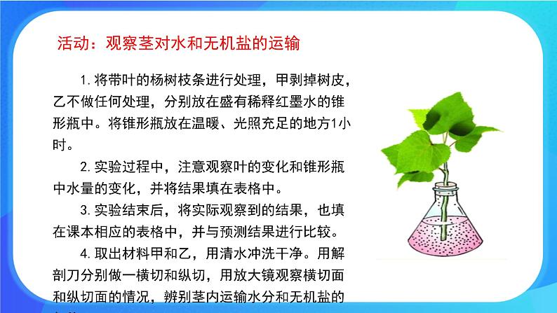 5.5 运输作用 课件 北师大版七年级生物上册第5页