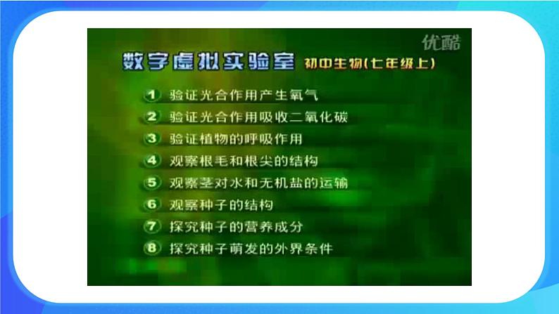 5.5 运输作用 课件 北师大版七年级生物上册第6页