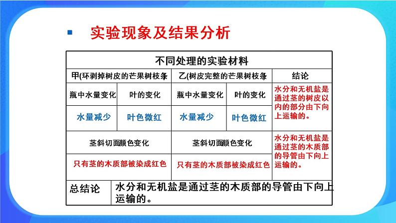 5.5 运输作用 课件 北师大版七年级生物上册第7页