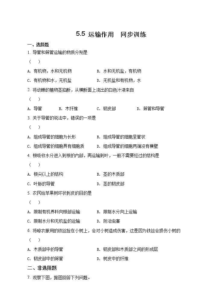 5.5 运输作用 练习 北师大版七年级生物上册第1页
