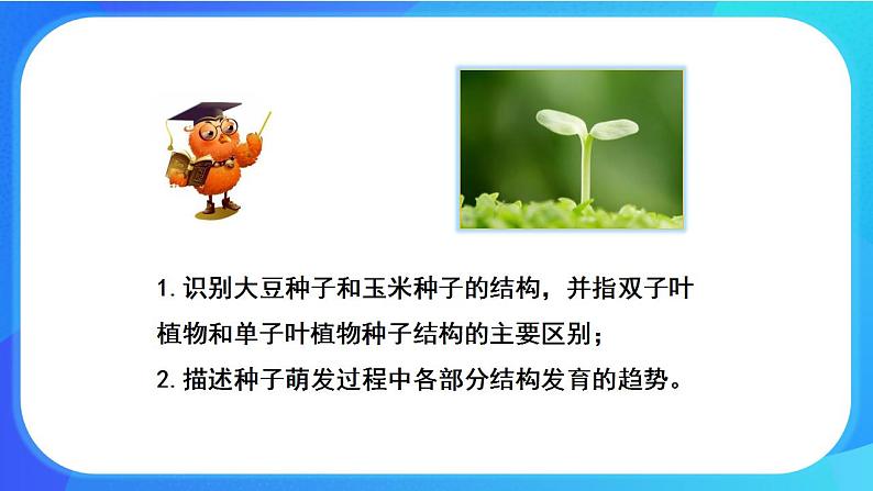 6.1 种子萌发形成幼苗 课件+练习+素材 北师大版七年级生物上册02