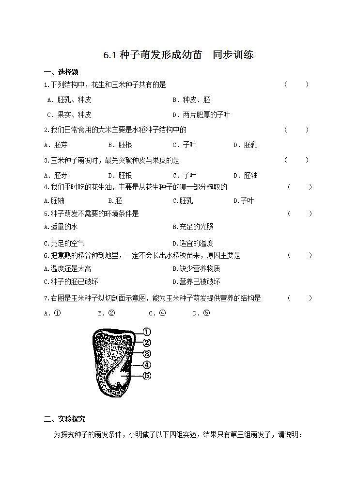 6.1 种子萌发形成幼苗 课件+练习+素材 北师大版七年级生物上册01