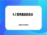 6.2 营养器官的生长 课件+练习+素材 北师大版七年级生物上册