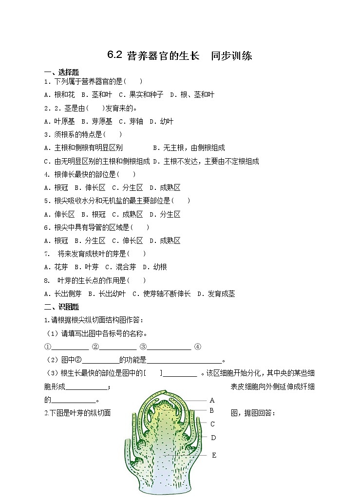6.2 营养器官的生长 练习 北师大版七年级生物上册第1页