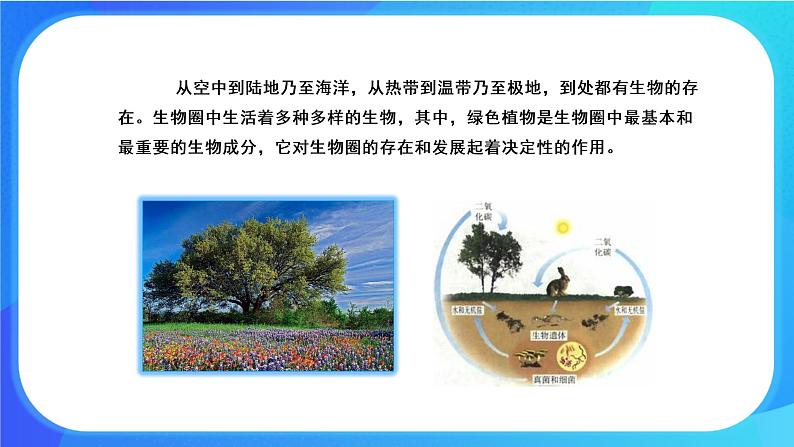 7.1 绿色植物在生物圈中的作用 课件 北师大版七年级生物上册第3页