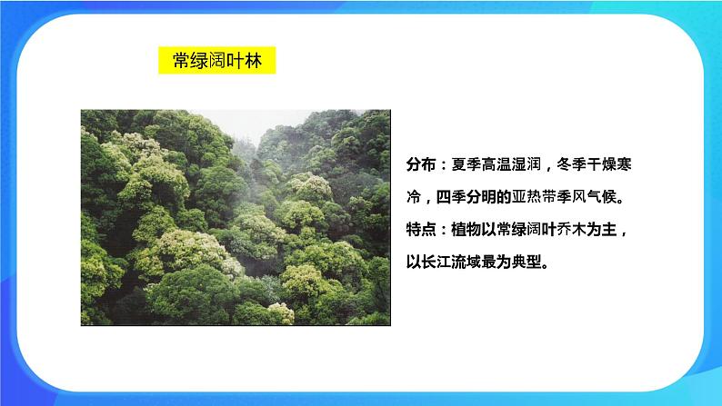 7.2 我国的植物资源 课件+练习+素材 北师大版七年级生物上册06