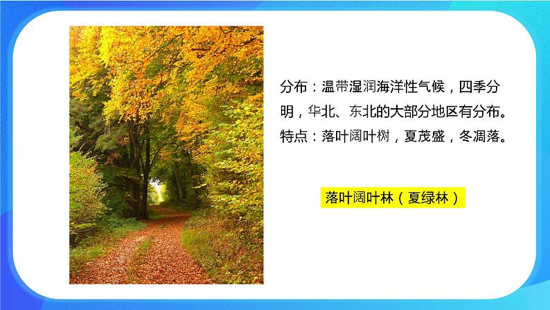 7.2 我国的植物资源 课件+练习+素材 北师大版七年级生物上册07