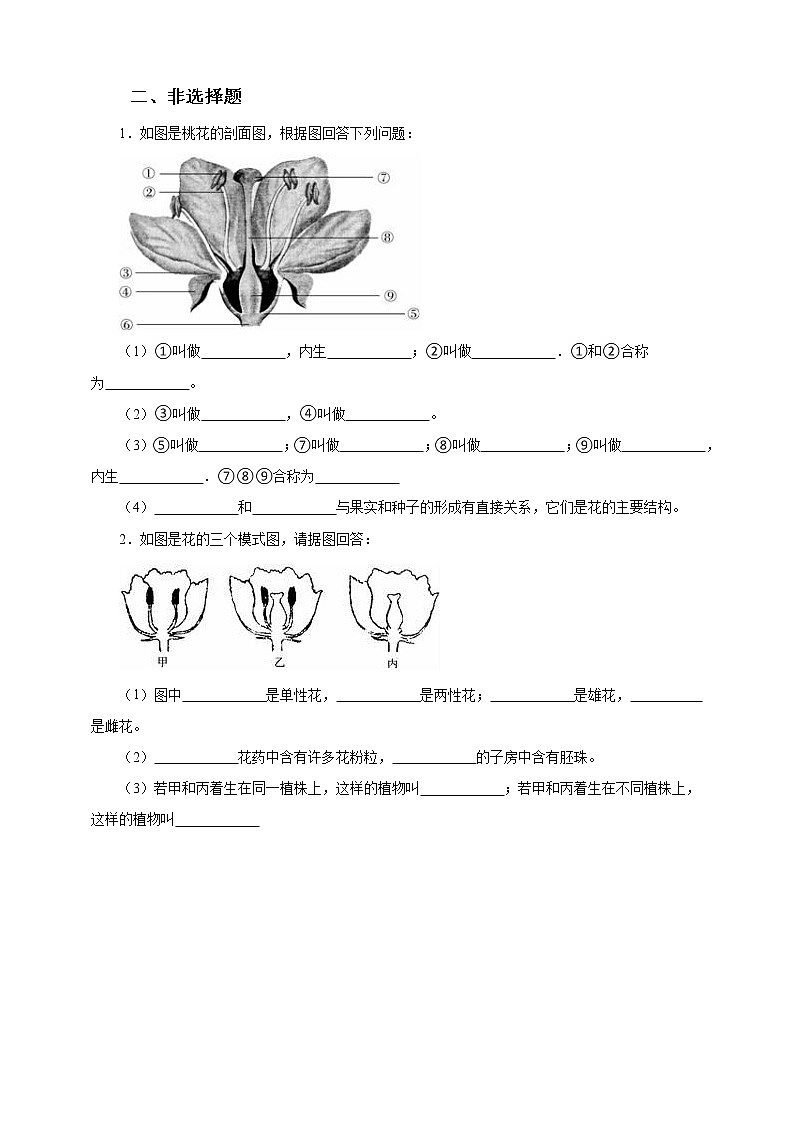 济南版生物八上1.1花的结构和类型  课件+教案+练习02