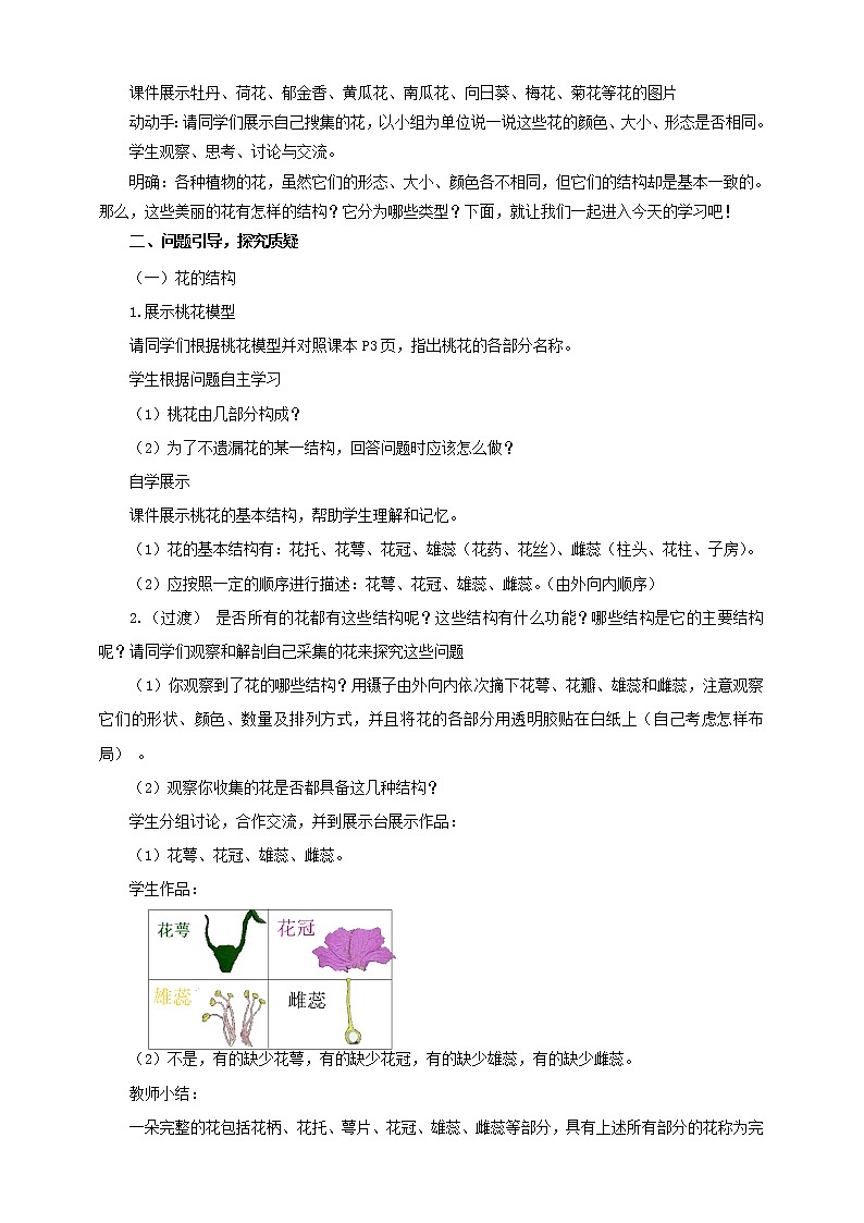 济南版生物八上1.1花的结构和类型  课件+教案+练习02