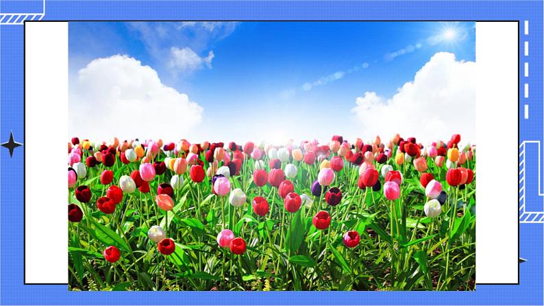 济南版生物八上1.1花的结构和类型  课件+教案+练习05