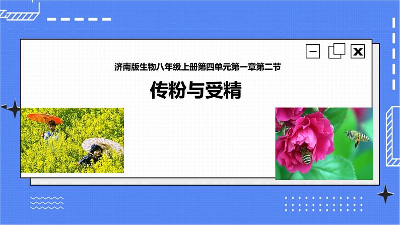 济南版生物八上1.2 传粉与受精   课件+教案+练习01