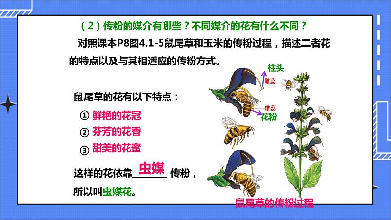 济南版生物八上1.2 传粉与受精   课件+教案+练习05