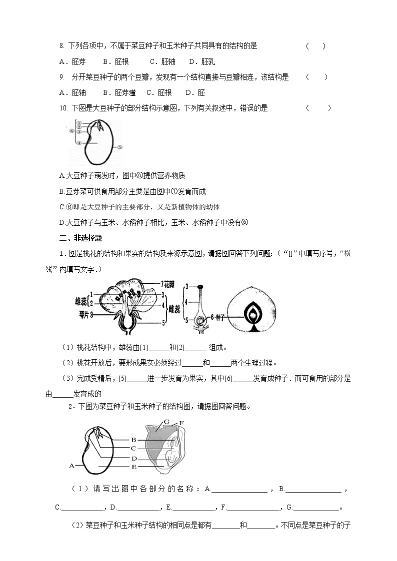 第三节《果实和种子的形成》（练习）第2页