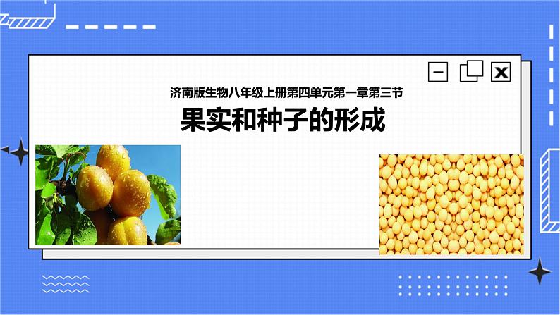 济南版生物八上1.3果实和种子的形成  课件+教案+练习01