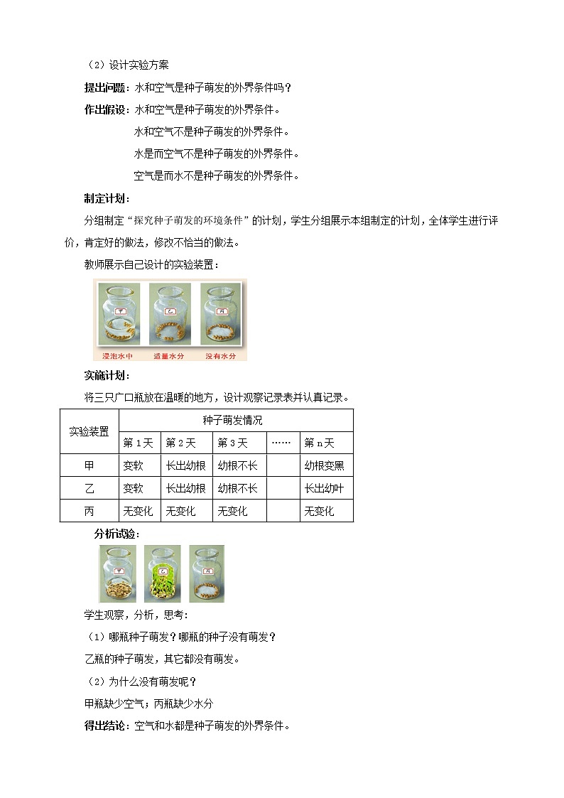 济南版生物八上1.4种子的萌发   课件+教案+练习03